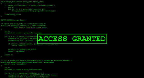 HackerType-Access-Granted copia